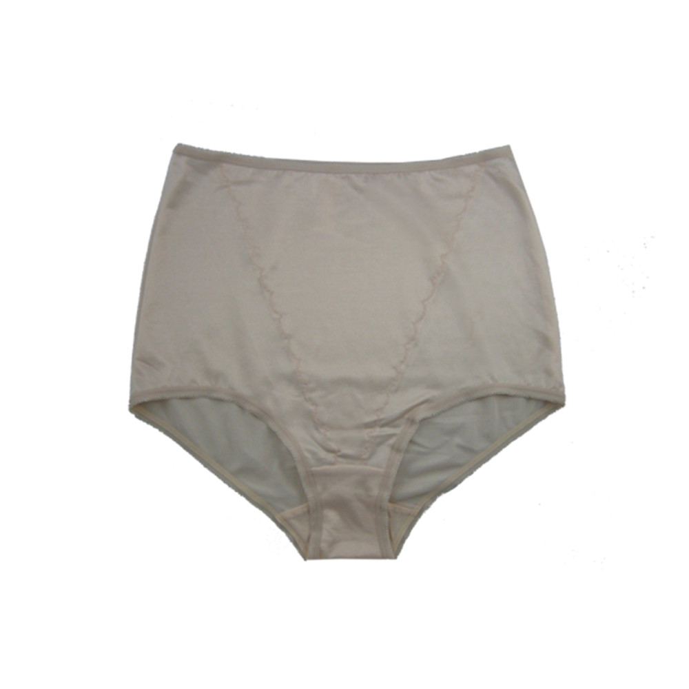 Firm Control Brief / Plus Size 3 pk 490X Plus Sizes FEM Intimates