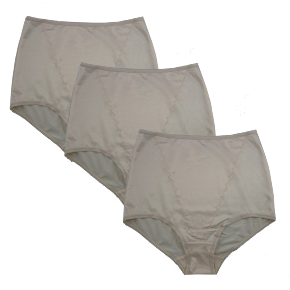 Firm Control Brief / Plus Size 3 pk 490X Plus Sizes FEM Intimates