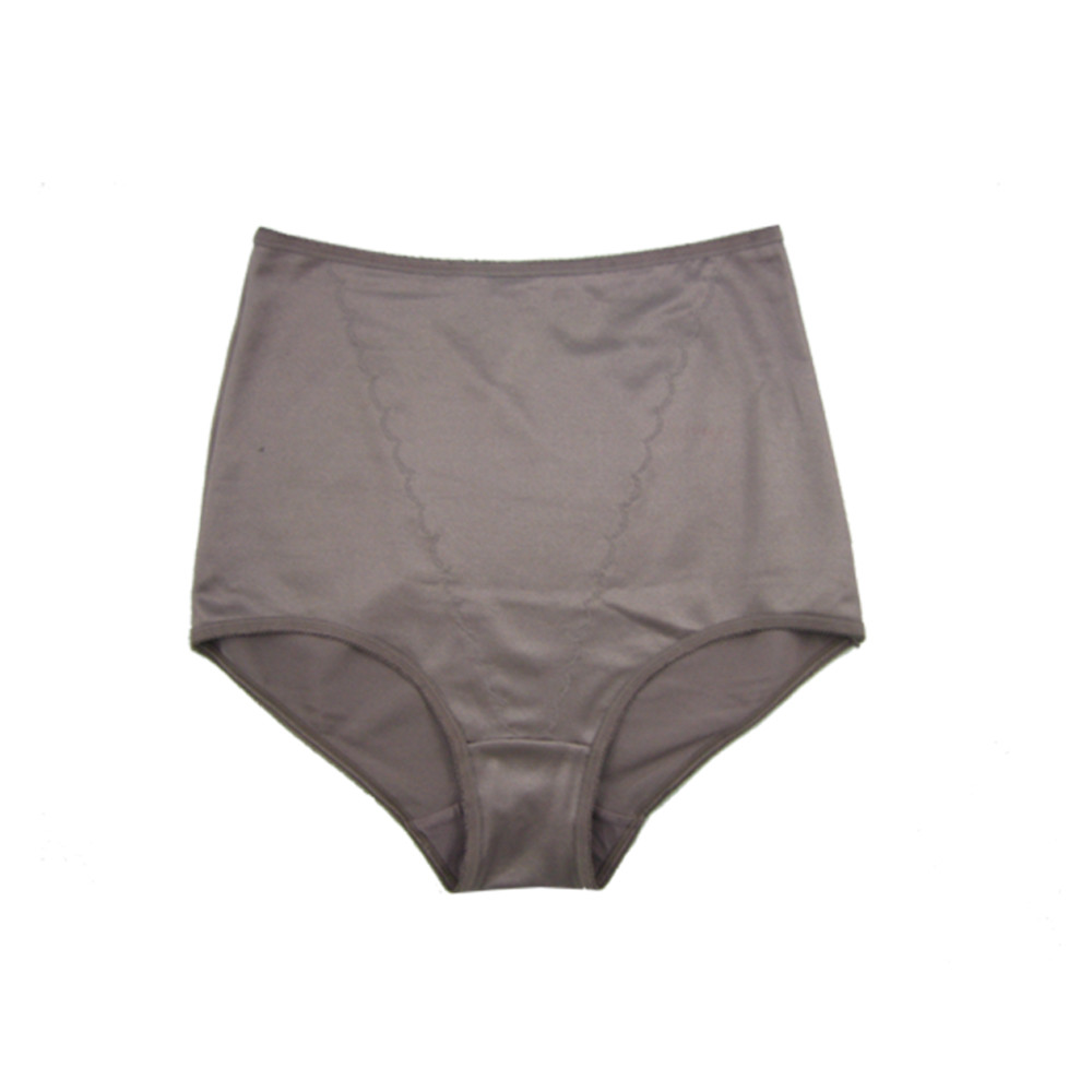 Firm Control Brief / Plus Size 3 pk 490X Plus Sizes FEM Intimates