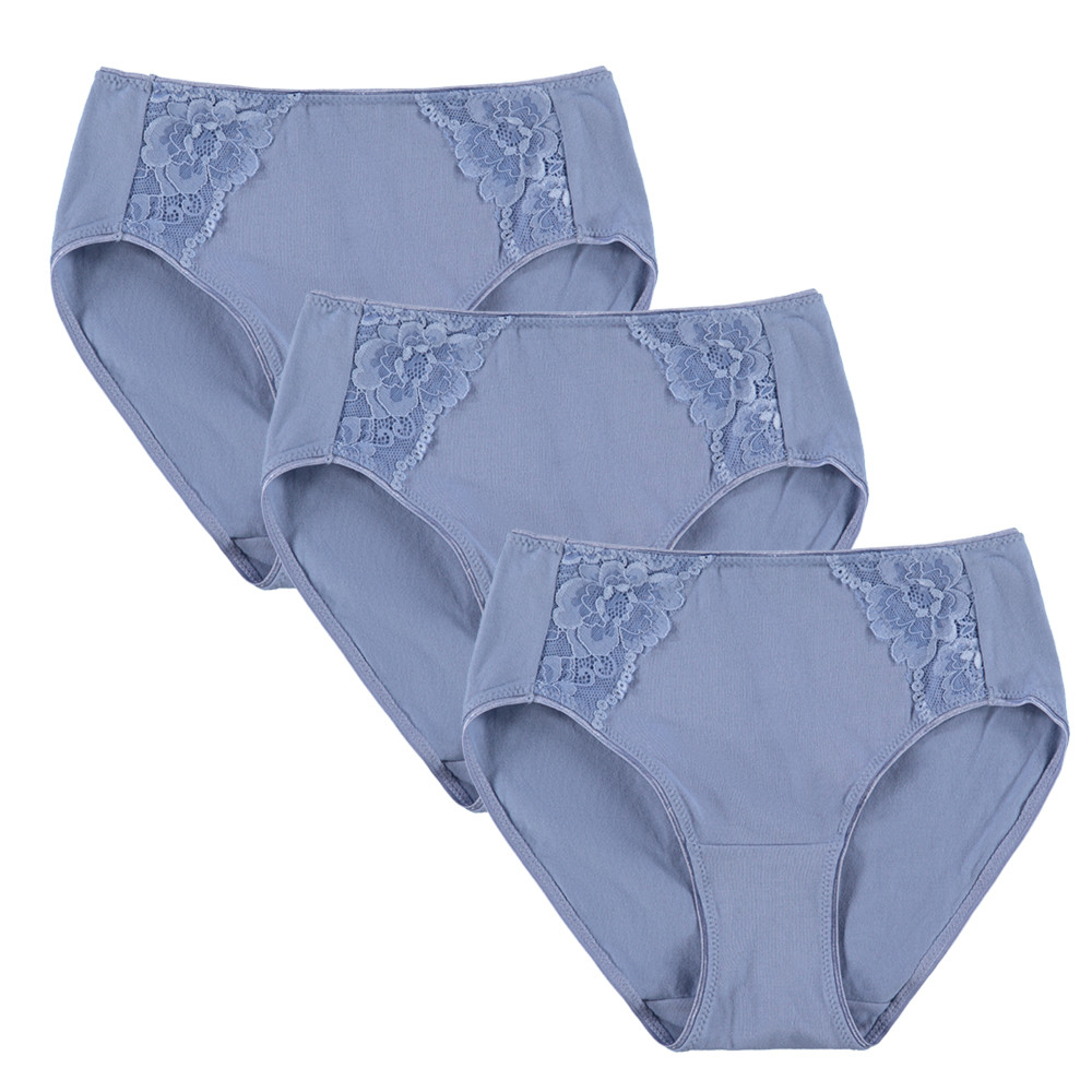 Cotton High Cut Panties with Lace | FEM Intimates