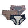 Microfiber Hipster Panty with Lace Insert 