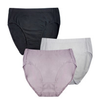 Organic Cotton High Cut Brief 3pk  #435