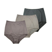 Firm Control Brief - 3 pk  #490