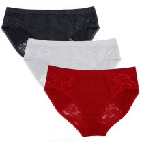 Seamless Bikini with Lace Back - 3 pk  #510