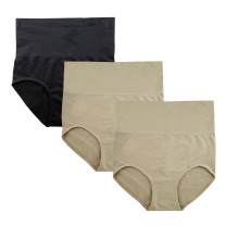 Seamless Shapewear Brief with Double Waist Pannel #904