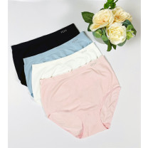 Seamless Luxuriously Soft Full Brief 3Pk  #727