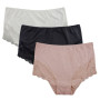 Micro Nylon full brief with lace trim